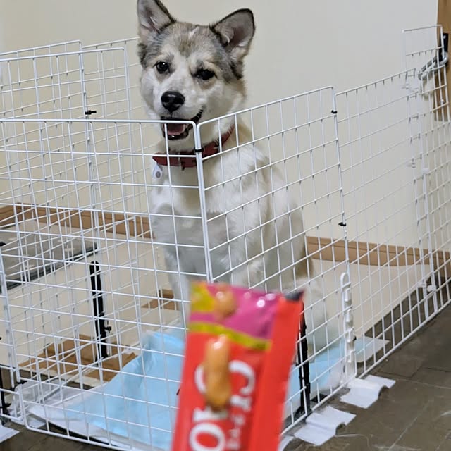 asaさんの部屋