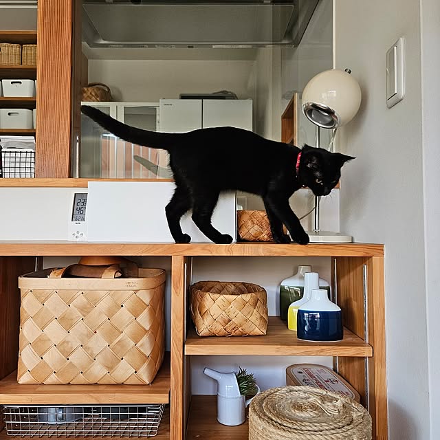 koyurizuさんの部屋