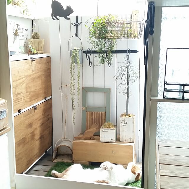 mikiさんの実例写真