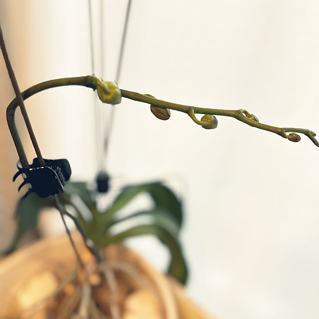 yu_meさんの実例写真