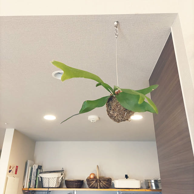 keksmさんの実例写真