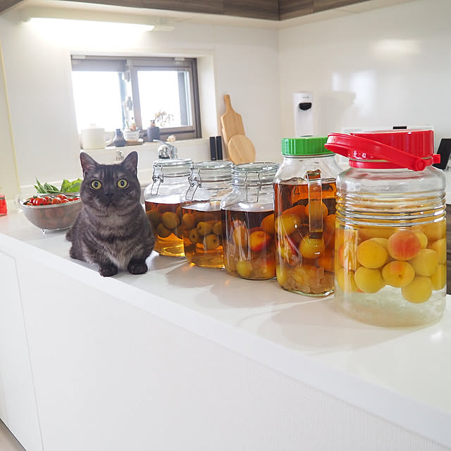 tomatoさんの実例写真