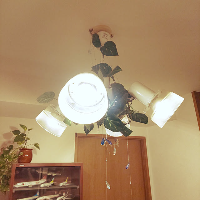 manaさんの実例写真