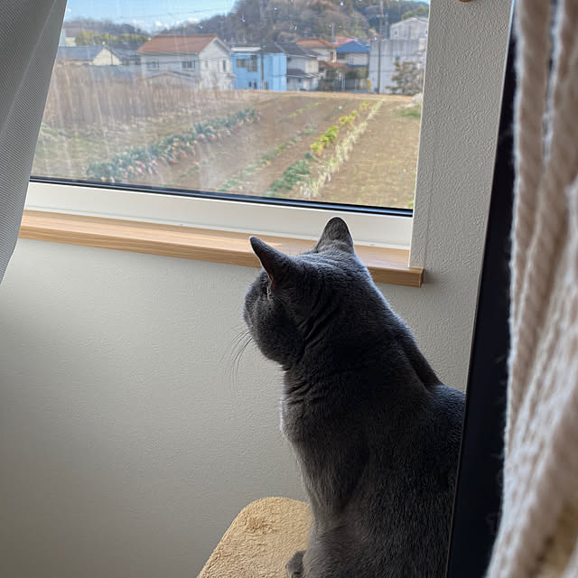 hachiさんの部屋