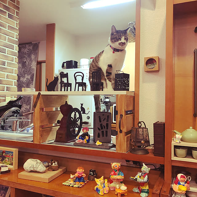 jijiさんの実例写真