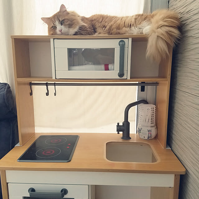 shimaさんの実例写真
