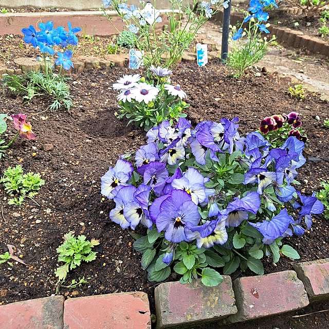 twinsさんの実例写真