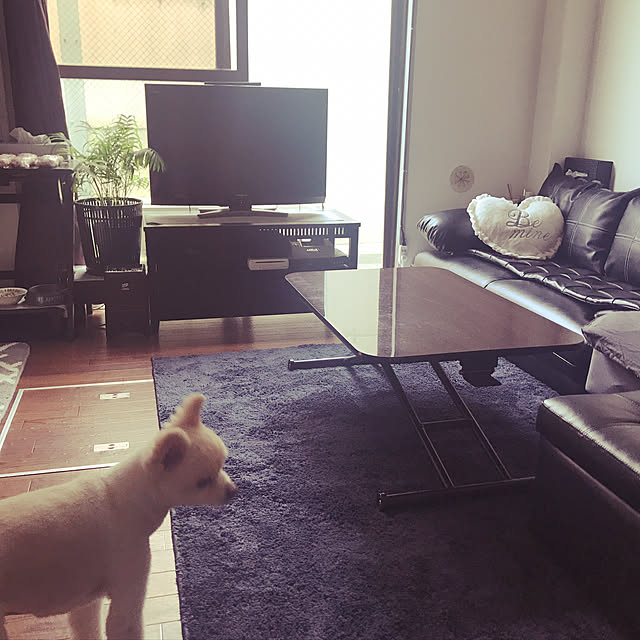 sacchiさんの実例写真