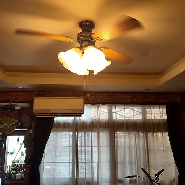 naoporonさんの部屋