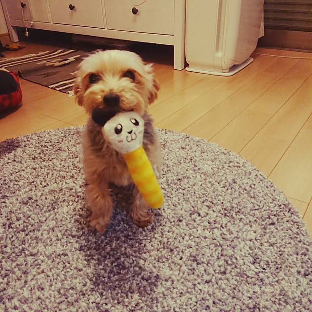 321さんの実例写真