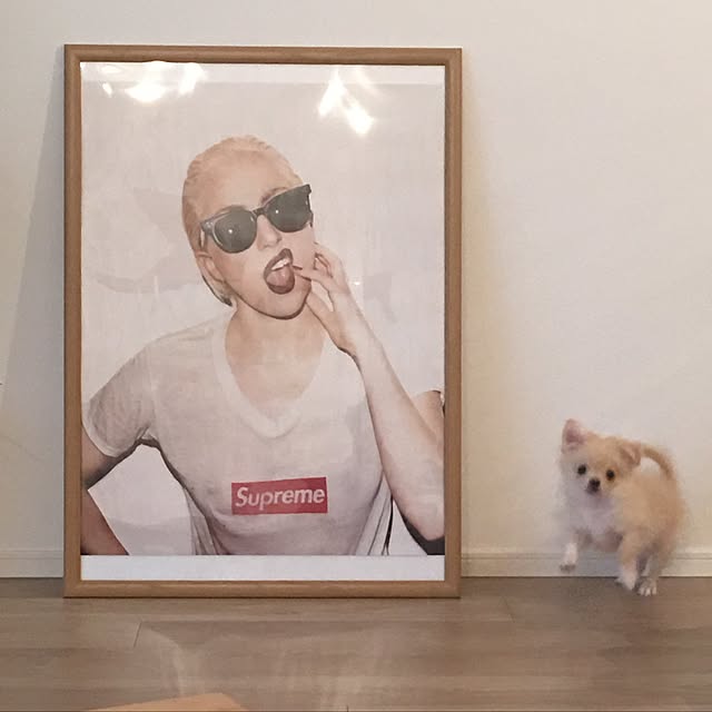 revo_youさんの実例写真