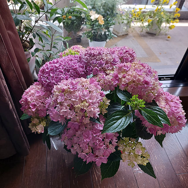 mamayo723さんの実例写真