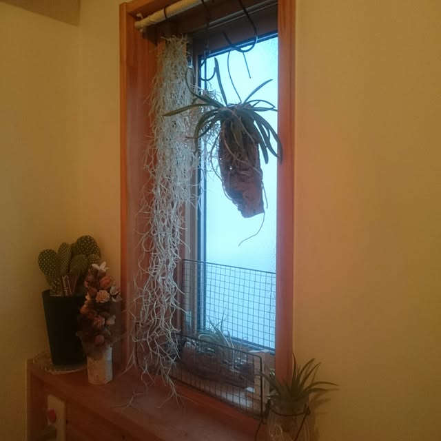 aki55さんの実例写真