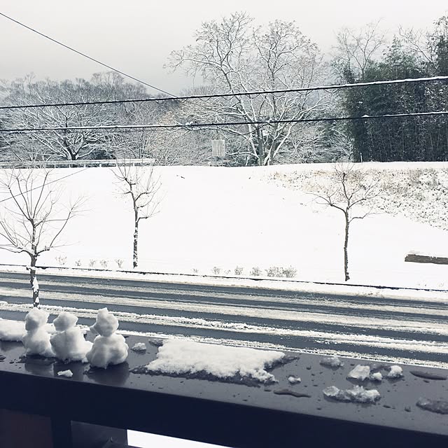 玄関/入り口/雪/子供と暮らす。/賃貸のインテリア実例 - 2016-01-20 19:36:25