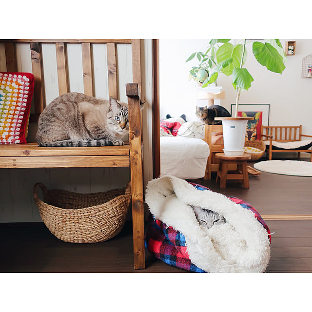 ineko_kさんの実例写真
