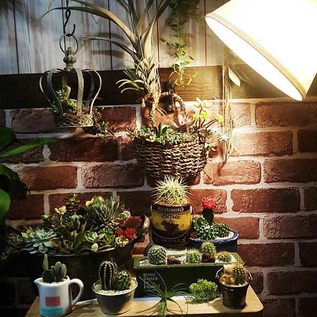 実例写真