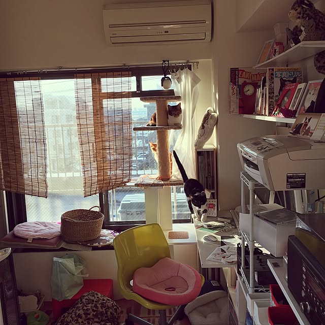miyabiさんの実例写真
