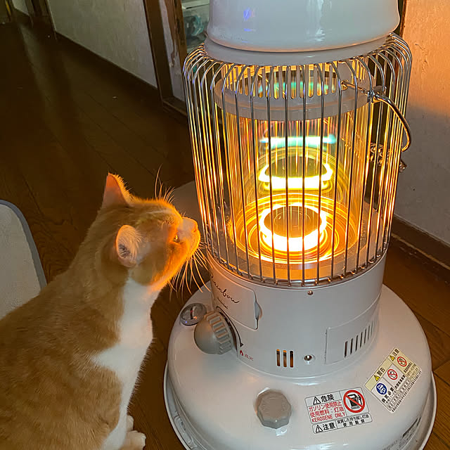 conatsuさんの実例写真