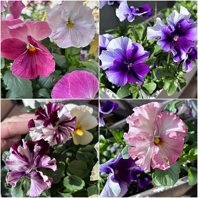 maimai0110さんの部屋