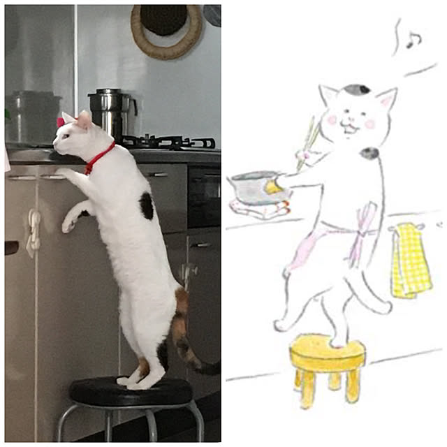 ichi.さんの実例写真