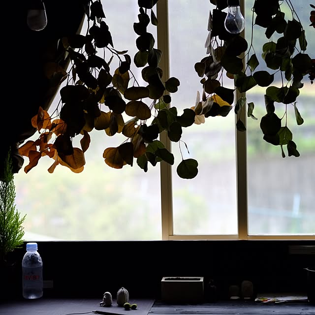 Shougoさんの実例写真
