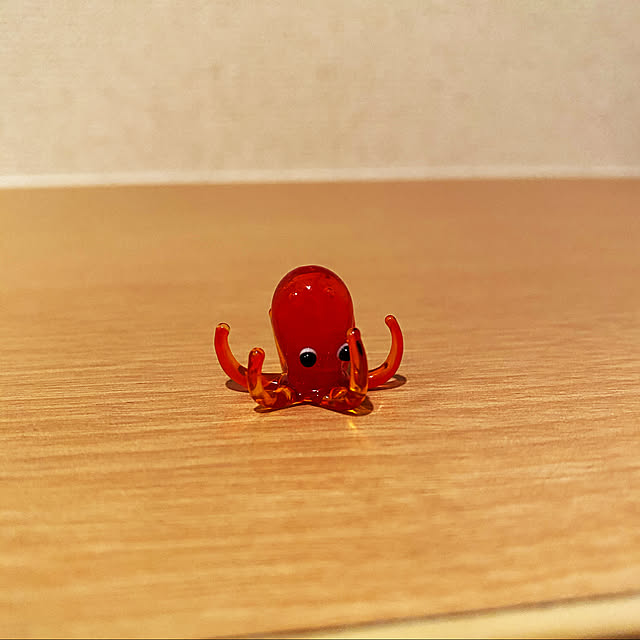 rariruさんの実例写真