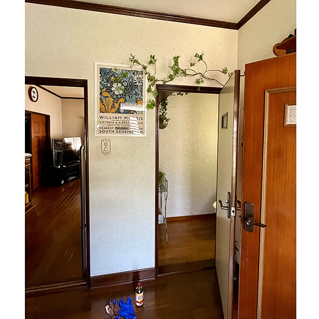 cotaさんの部屋