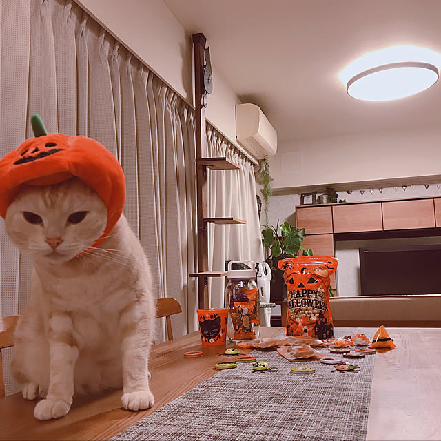 hiyupan88さんの実例写真