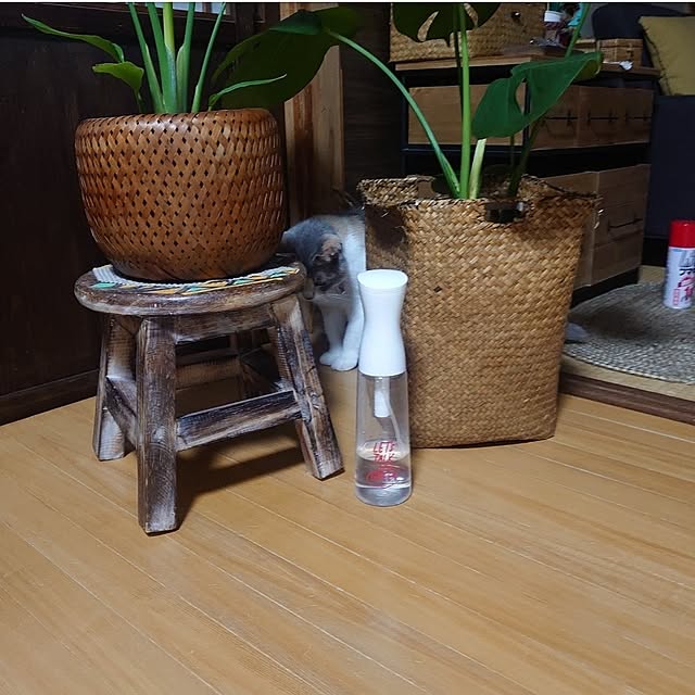 fukuさんの部屋
