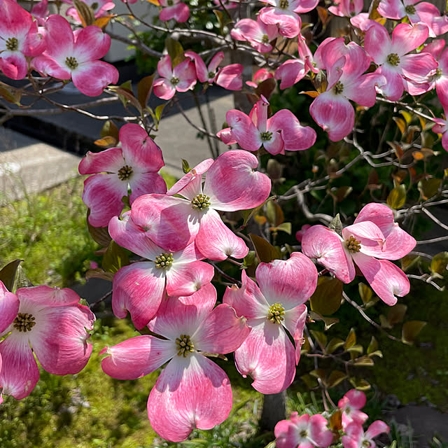 kakoさんの部屋