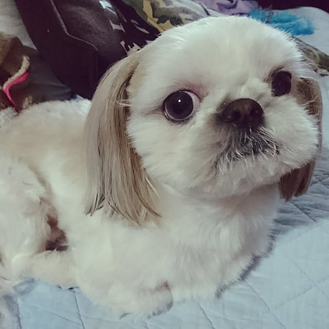 Reiさんの実例写真
