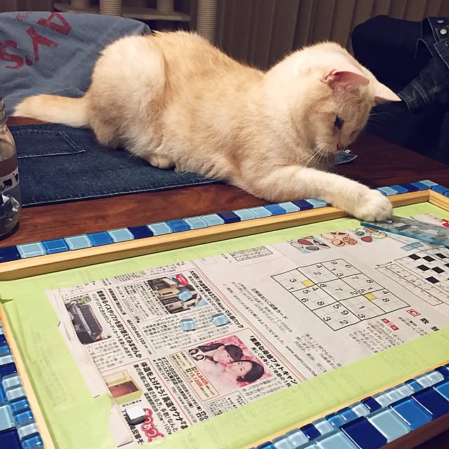 y.k.0123さんの実例写真