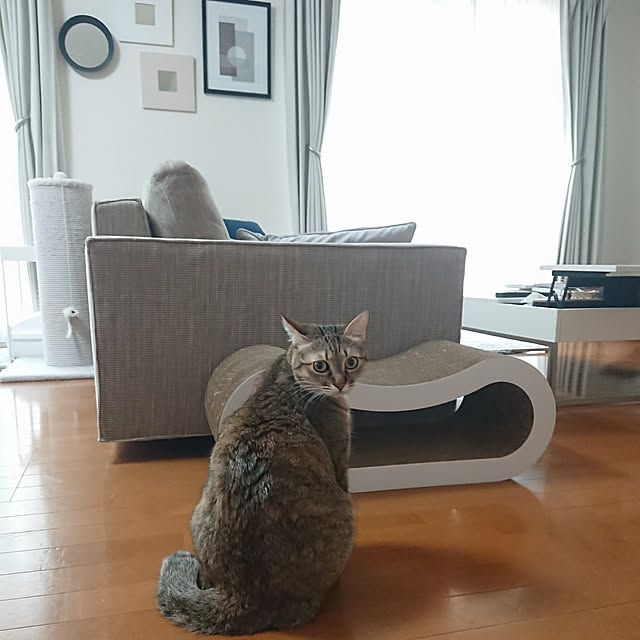 maikyさんの実例写真
