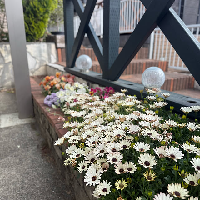 sachieyさんの部屋