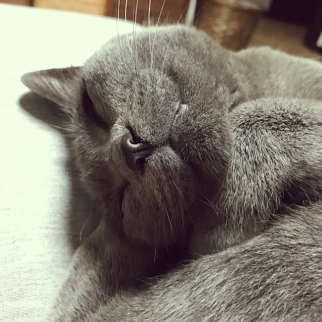 73さんの実例写真