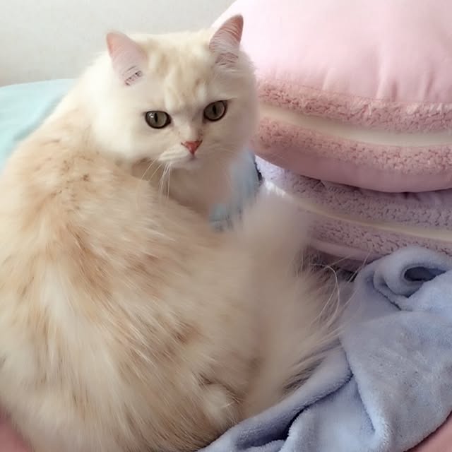 may0715さんの実例写真