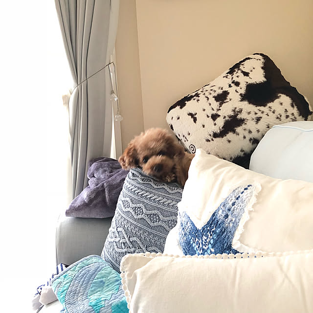 momonaさんの実例写真