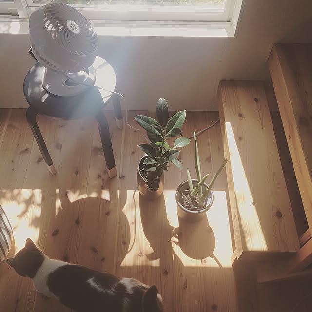 mohayaeteさんの実例写真