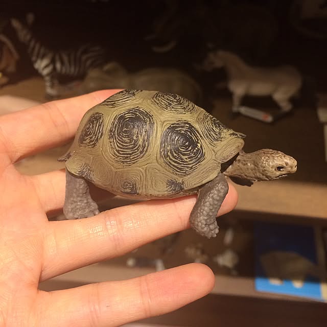 mikomaruさんの実例写真