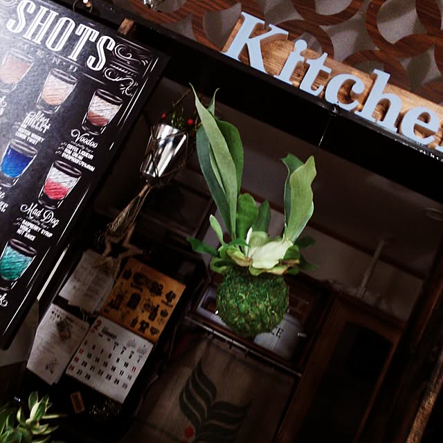 kota.umeさんの実例写真