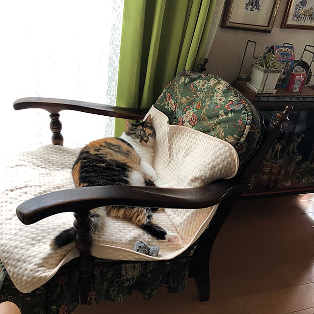 junbuさんの部屋