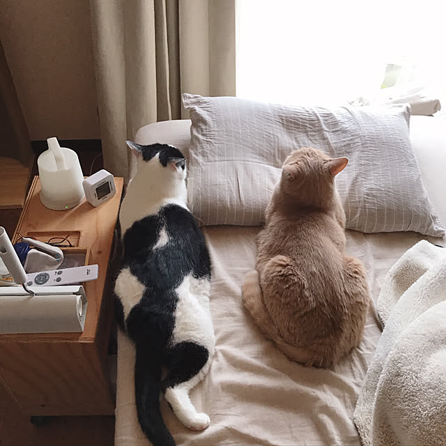 nicoさんの実例写真