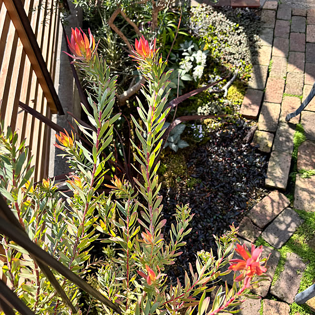 kyoko1124koさんの部屋