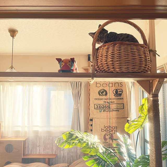 Mさんの部屋