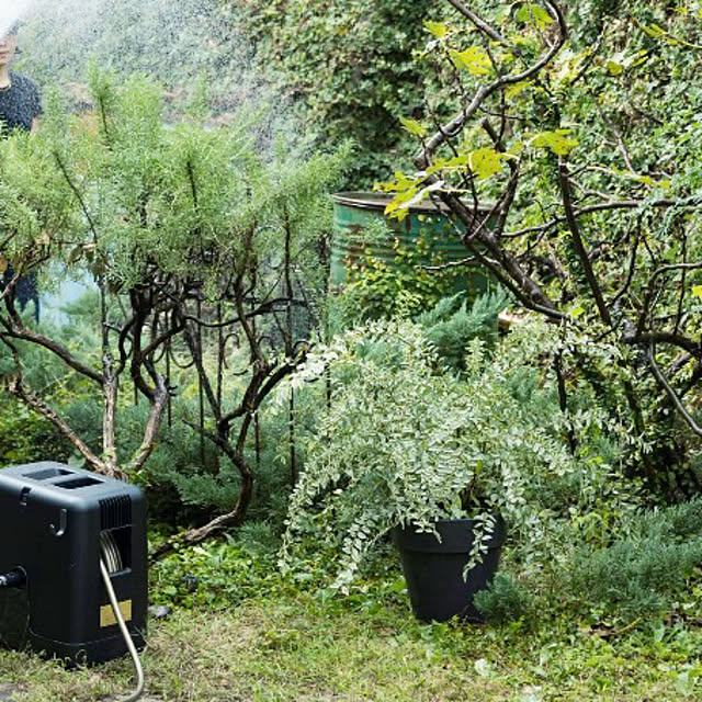 Royal_Gardeners_Clubさんの部屋