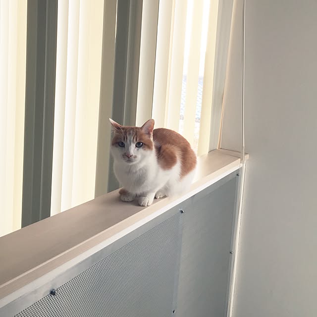 LEMONさんの実例写真