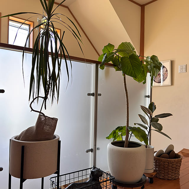 noraさんの部屋