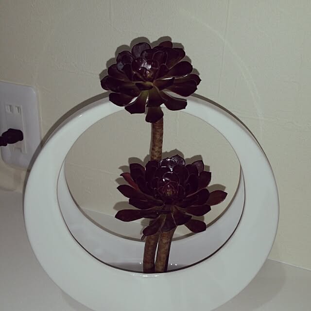 yumiさんの実例写真