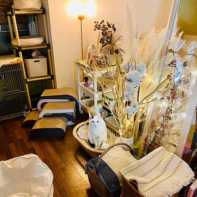 YUKAさんの部屋