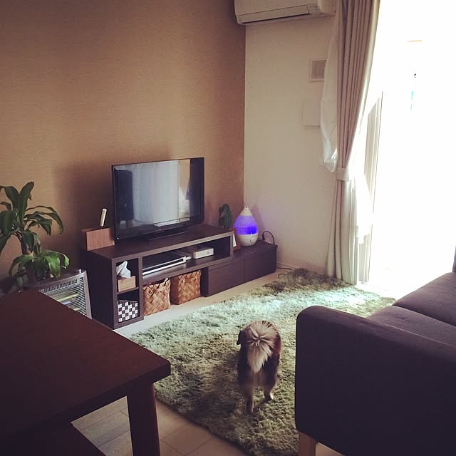 部屋全体のインテリア実例 - 2015-11-19 21:37:12